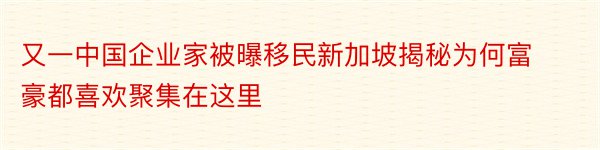 又一中国企业家被曝移民新加坡揭秘为何富豪都喜欢聚集在这里