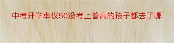 中考升学率仅50没考上普高的孩子都去了哪